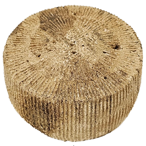 Mixed Sheep Cheese, Cave-aged