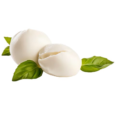 Mozzarella di Bufala